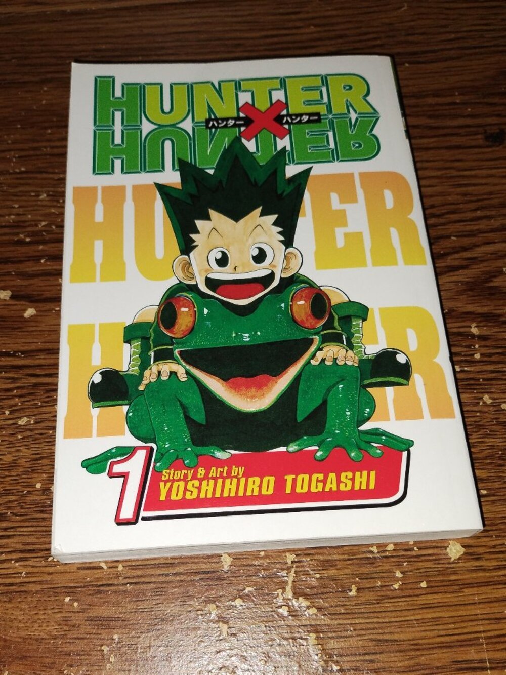 Hunter Hunter Vol. 1 Manga in English (Shonen Jump / Viz Media)